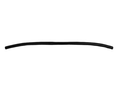 Dodge Charger Weather Strip - 68040220AB