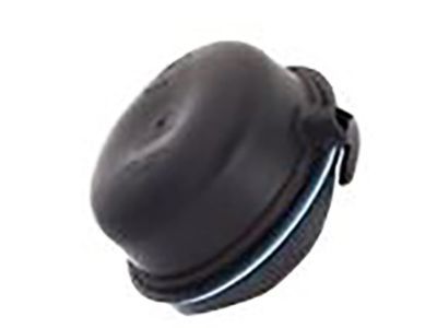 Mopar MN142066 Headlamp Cover
