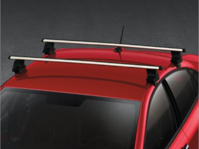 Mopar Roof Rack TR484767