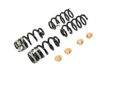 Mopar Lowering Kit 77072328