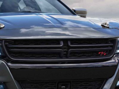 Mopar Grille 82214752