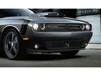 Dodge Grille and Appliques - 82214570AB