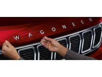Jeep Wagoneer Touch Up Paint Spray Paint - 82216046AA