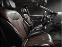 Dodge Dart Seat & Security Covers - LRPF0132TU