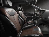 Dodge Dart Seat & Security Covers - LRPF0132DI