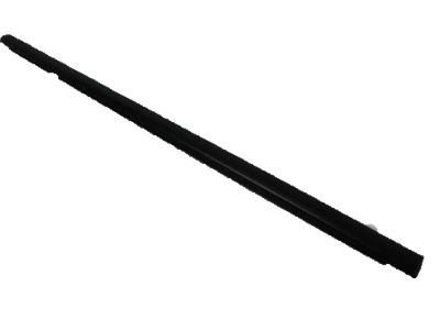 2004 Dodge Durango Weather Strip - 55362205AB