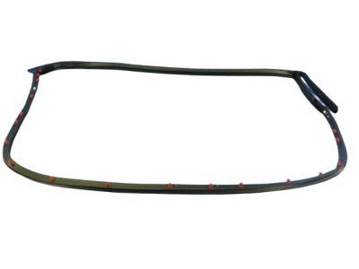 Chrysler 300 Weather Strip - 68039976AE