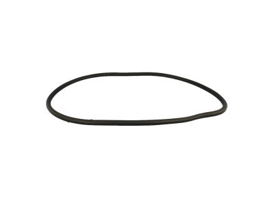2017 Chrysler 200 Weather Strip - 68144971AB
