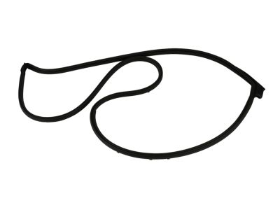 2013 Chrysler 300 Door Seal - 68039975AF