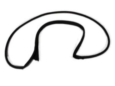 Dodge Magnum Door Seal - 5065153AB