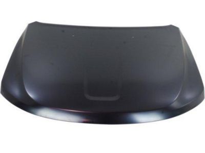 Mopar Hood - 55369587AG