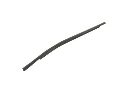 Mopar 68637348AA WEATHERST-REAR DOOR BELT OUTER