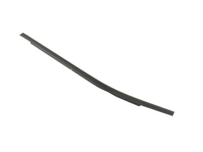 Mopar 68637348AA WEATHERST-REAR DOOR BELT OUTER