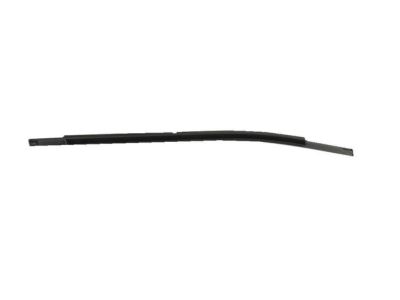 Mopar 68637348AA WEATHERST-REAR DOOR BELT OUTER