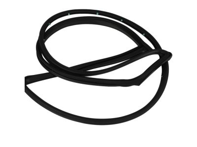 Dodge Grand Caravan Weather Strip - 4894985AC