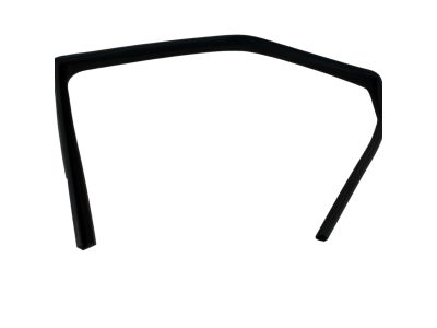 Mopar 5067768AB WEATHERSTRIP-Front Door Glass Run
