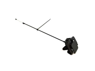 Jeep 1XT82LU5AD