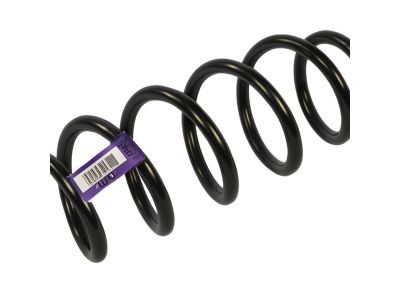 Mopar 5168048AB Rear Coil Spring