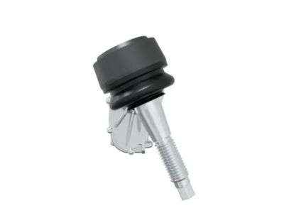 Ram RL230029AA