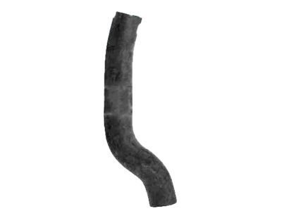 2009 Dodge Ram 1500 Radiator Hose - 55056876AA