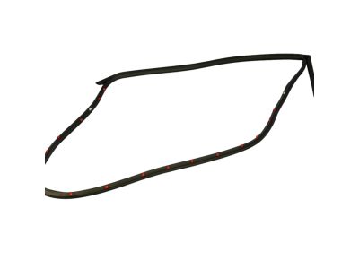 Mopar 68039976AG WEATHERSTRIP-Rear Door Mounted