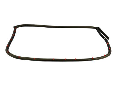 Mopar 68039976AG WEATHERSTRIP-Rear Door Mounted