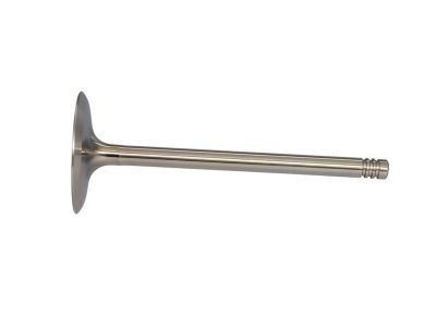 Dodge Magnum Intake Valve - 5037372AB