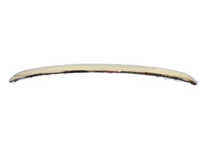 Mopar 1RZ22SZ0AA APPLIQUE-FASCIA