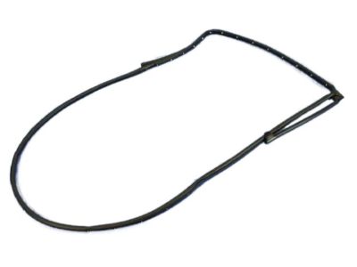 2011 Ram 1500 Weather Strip - 55112363AC