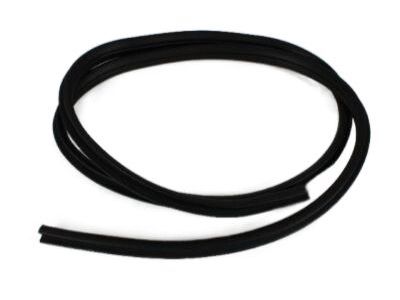 2004 Dodge Ram 2500 Weather Strip - 55275609AD