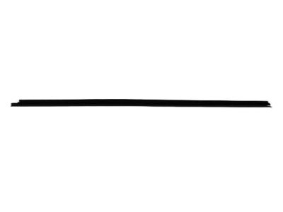 2009 Dodge Ram 1500 Weather Strip - 55369293AB