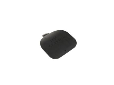 Mopar 68290894AB Door-Access