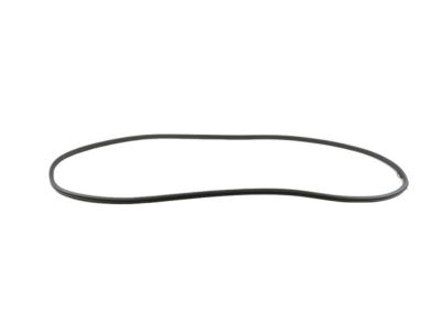 Mopar 68313522AD WEATHERSTRIP-Rear Door Opening