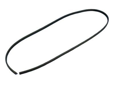 Dodge Magnum Weather Strip - 5065640AB