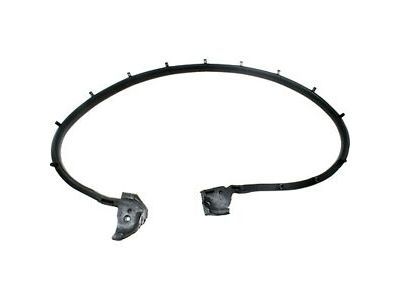 1987 Jeep Wrangler Weather Strip - 55009829