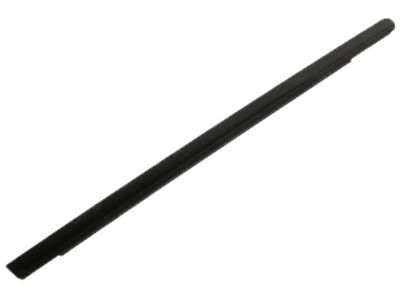 Dodge Magnum Weather Strip - 4806000AE