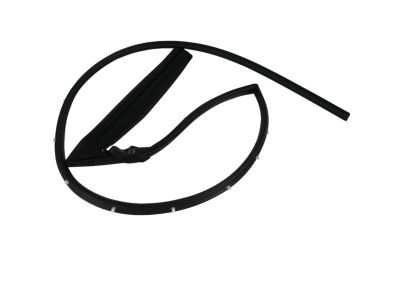 Dodge Weather Strip - 68067557AB