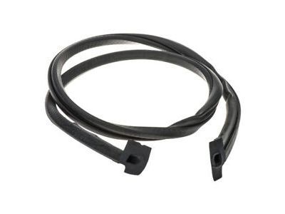2002 Dodge Sprinter 2500 Weather Strip - 5104375AA