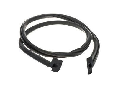 Dodge Sprinter 2500 Weather Strip - 5104375AA