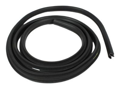 Dodge Ram 5500 Weather Strip - 55277295AA