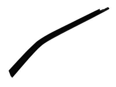 Mopar 4806140AB WEATHERSTRIP-Rear Door Belt