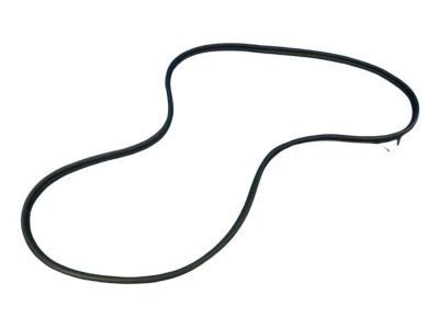 Mopar 68226159AA WEATHERSTRIP-Front Door