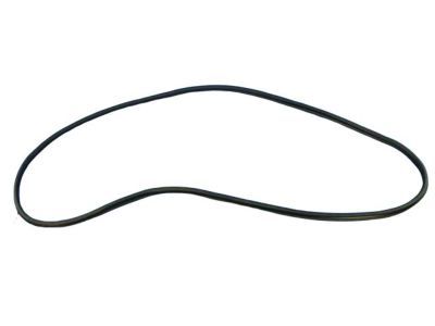 Mopar 68226159AA WEATHERSTRIP-Front Door