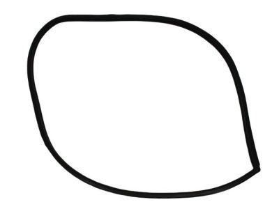 2005 Dodge Grand Caravan Door Seal - 4717728AC