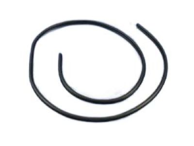 Dodge Charger Door Seal - 1KW33DX9AC