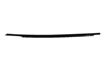 2012 Dodge Charger Weather Strip - 57010349AB