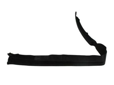 2008 Dodge Ram 2500 Door Seal - 55277248AB