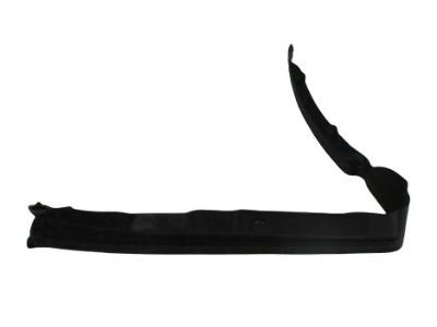 Dodge Ram 4500 Door Seal - 55277248AB