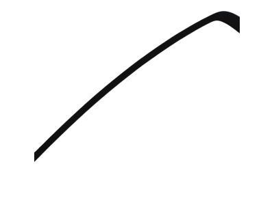 Mopar 57010507AG APPLIQUE-Rear Door