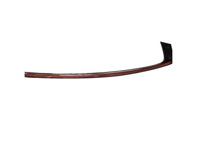 Mopar 57010507AG APPLIQUE-Rear Door